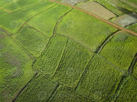 Aerial view field environment forest nature agricultural farm ...