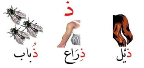 كلمات تبدأ بحرف الذال ذ - ملزمتي