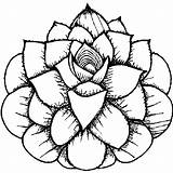 Cactus And Succulent Coloring Pages · Creative Fabrica sketch template
