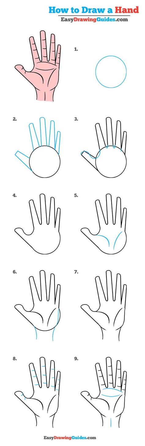 How to Draw a Hand – Really Easy Drawing Tutorial | Drawing tutorial easy, Drawing for beginners ...