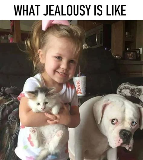 If jealousy had a face - Meme by schizoidman :) Memedroid