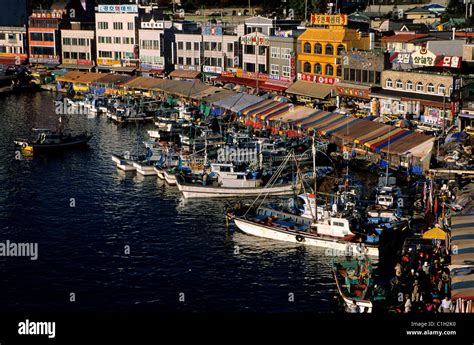 South Korea, province of Gangwon-do, the fishing village of Daepo at the southern of Sokcho ...