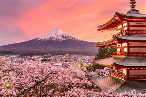 Cherry Blossom | Japan Rail Pass