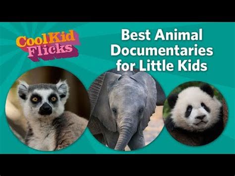 Best Animal Documentaries for Little Kids - YouTube