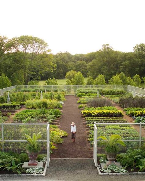 Backyard Kitchen Garden Ideas - The Kitchen Garten