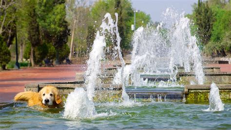 Chapultepec Park in Mexico City, | Expedia