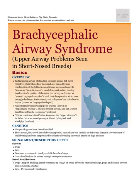 brachycephalic_airway_syndrome