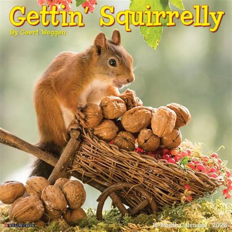 Willow Creek Press 2023 Gettin' Squirrelly Wall Calendar - 26045 | Blain's Farm & Fleet