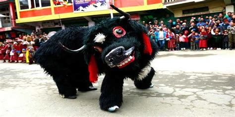 yak-dance- | Arunachal24