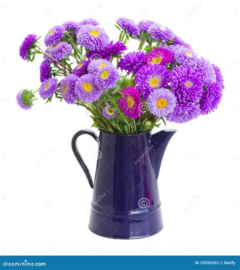 Bouquet Of Violet Aster Flowers Stock Photography - Image: 33556262