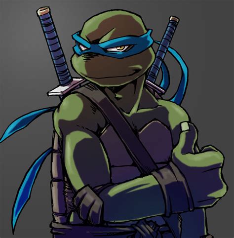 Leonardo - Teenage Mutant Ninja Turtles Photo (27864205) - Fanpop