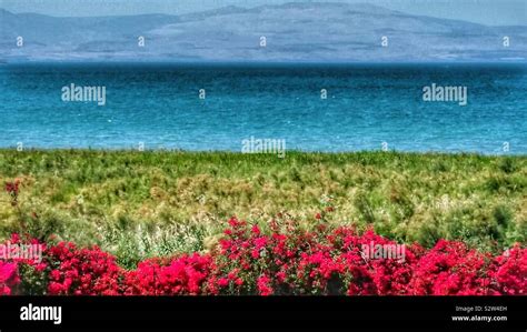 Sea of Galilee in Israel Stock Photo - Alamy