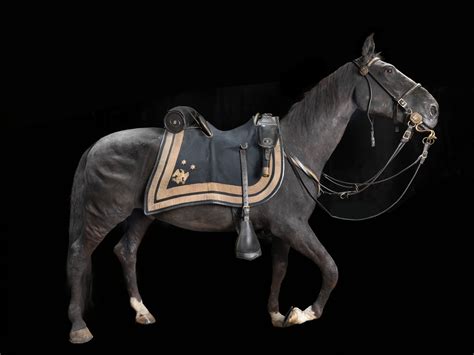 General Sheridan's Horse "Winchester" AKA "Rienzi" | Smithsonian Institution