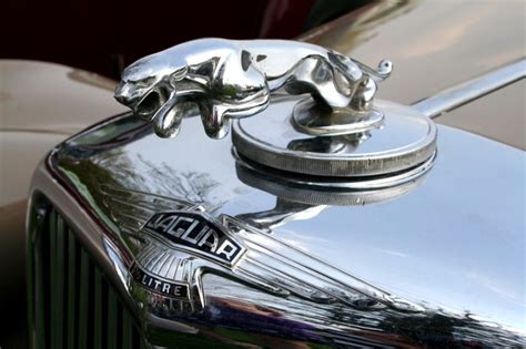 Classic Jaguar 3 1/2 litre hood ornament | Hood ornaments, Jaguar, Bits ...