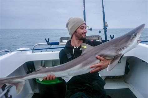 Tope fishing from small boats - Off the Scale magazine