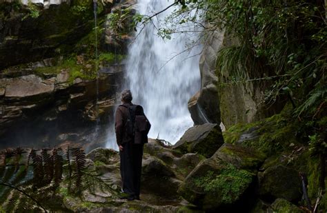 Wainui Falls Track: Abel Tasman National Park, Nelson/Tasman region