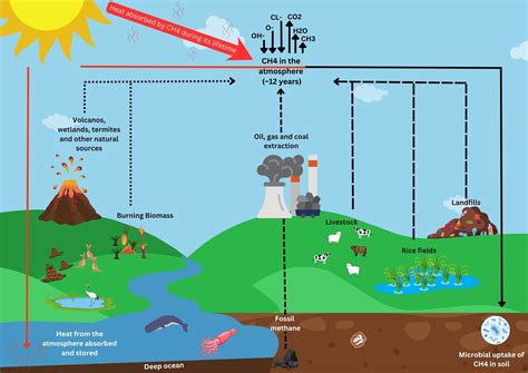 Understanding methane from livestock | Autumn 2023 | Sheep Notes ...