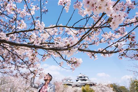 What to Know About Japan's 2023 Cherry Blossom Season