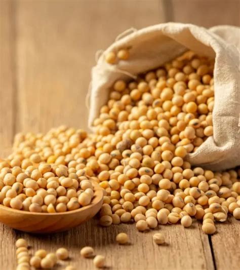 Pahadi Soya Bean Dal | Bhatt Daal 1 Kg – Pahadi Goods