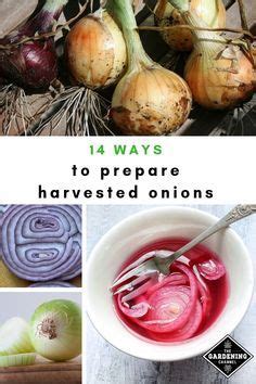 Don't miss these tips to preserve onions. Learn all the ways to use onions including how to make ...