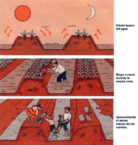 Pin on Ancient Agricultural Methods