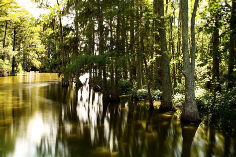 The Roanoke Island Colony: Lost, and Found? - The New York Times