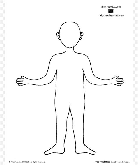 Cartoon Body Outline Drawing This tutorial is a simple explanation for ...