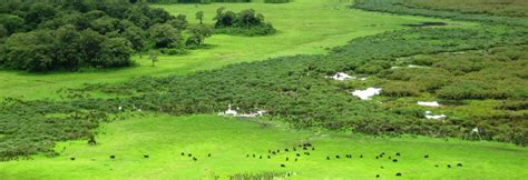 Arusha National Park - Day Trip - Evidence