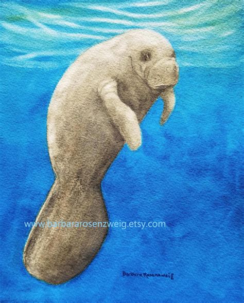 Manatee Art, Manatee Painting, Coastal Decor, Beach Painting, Anna ...