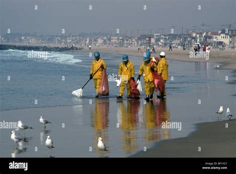 Clean up crew on beach after oil spill Stock Photo - Alamy