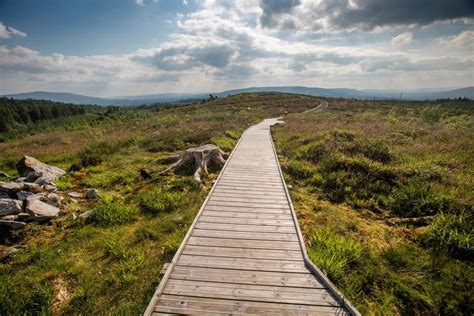 Ireland Scenic Drives: The Burren Loop - Allglass® / Autoglass® Blog