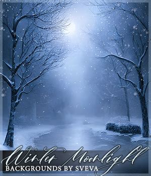 Winter Moonlight Backgrounds 2D Graphics Sveva