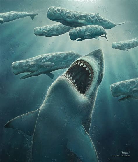 Megalodon Picture | Megalodon, Megalodon pictures, Deep sea creatures