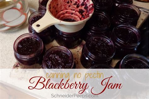 An Easy Blackberry Jam Recipe for Canning or Freezing | SchneiderPeeps