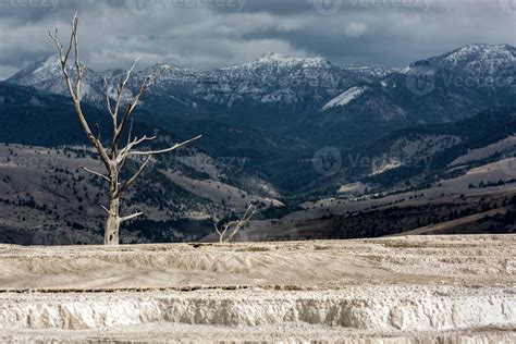 Mammoth Hot Springs 6585527 Stock Photo at Vecteezy