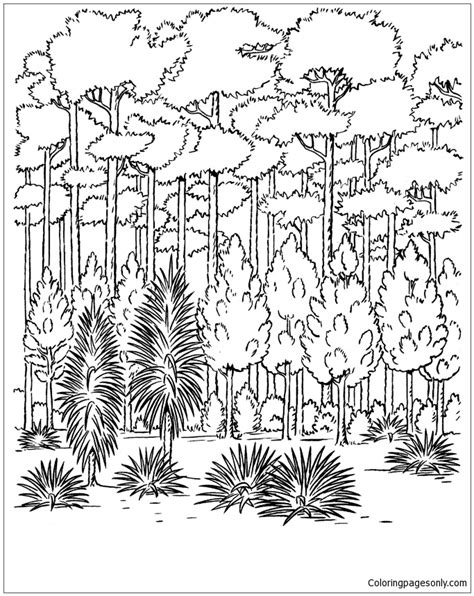 Forest Trees Coloring Page - Free Printable Coloring Pages