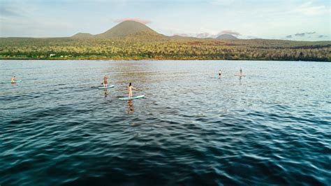 Best Time To Visit The Galapagos Islands: Month By Month Breakdown ...