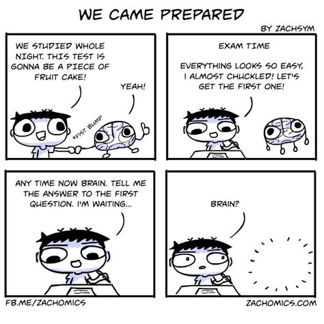 9 Funny Comics About The Challenges Of Exam Season | Bored Panda