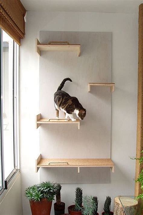 30 Modern DIY Cat Playground Ideas In Your Interior | HomeMydesign