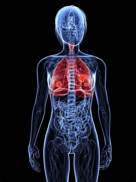 Human respiratory system | TheSchoolRun