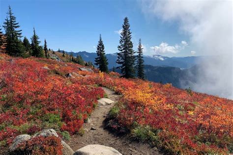 15 Best Snoqualmie Pass Hikes (a local perspective) - Wander Healthy