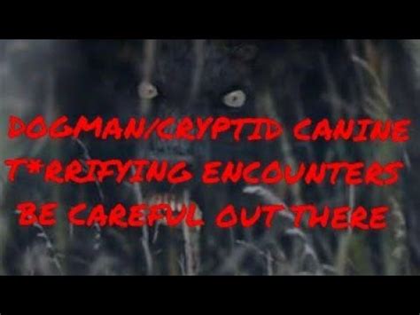 DOGMAN/CRYPTID CANINE T*RRIFYING ENCOUNTERS BE CAREFUL OUT THERE - YouTube