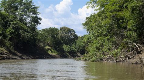 Travel Pucallpa: Best of Pucallpa, Visit Yarinacocha | Expedia Tourism