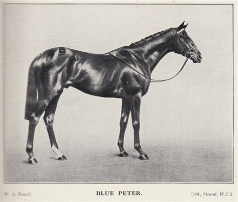 Bloodstock breeders Review Vol 28 1939 Horse Racing Illustrated