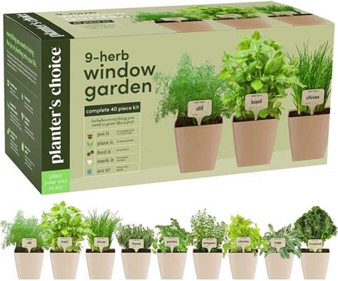 Best Indoor Herb Garden Kit 2021