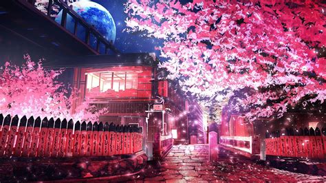 Anime Sakura Trees HD Wallpapers - Wallpaper Cave