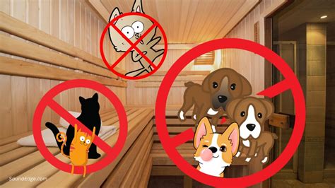 19 things you should never do in a sauna – Sauna Edge