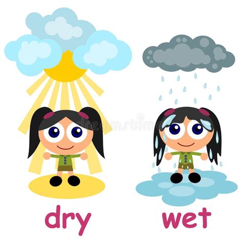 Wet and dry stock vector. Illustration of educate, colorful - 17666230