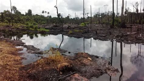 'Port Harcourt soot pollution need more logistics to stop am' - Prof ...