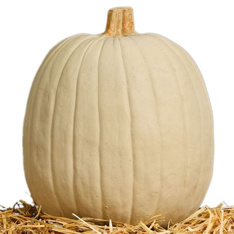 White Funkin carvable faux pumpkin | Craft pumpkins, Pumpkin, Disney pumpkin carving templates